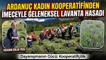ARDANUÇ KADIN KOOPERATİFİNDEN İMECEYLE GELENEKSEL LAVANTA HASADI